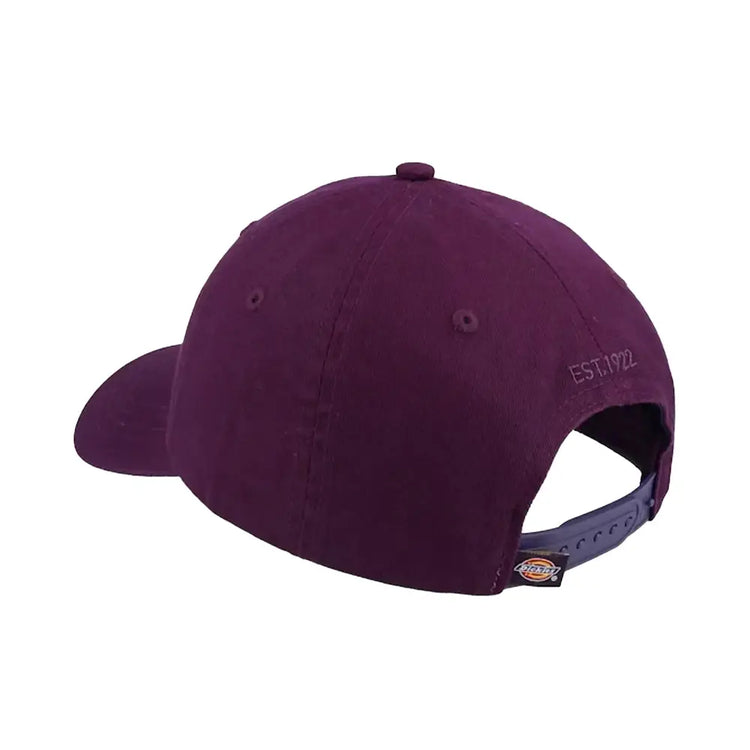 DICKIES Hardwick Cap Plum Perfect DK0A4TKVJ561